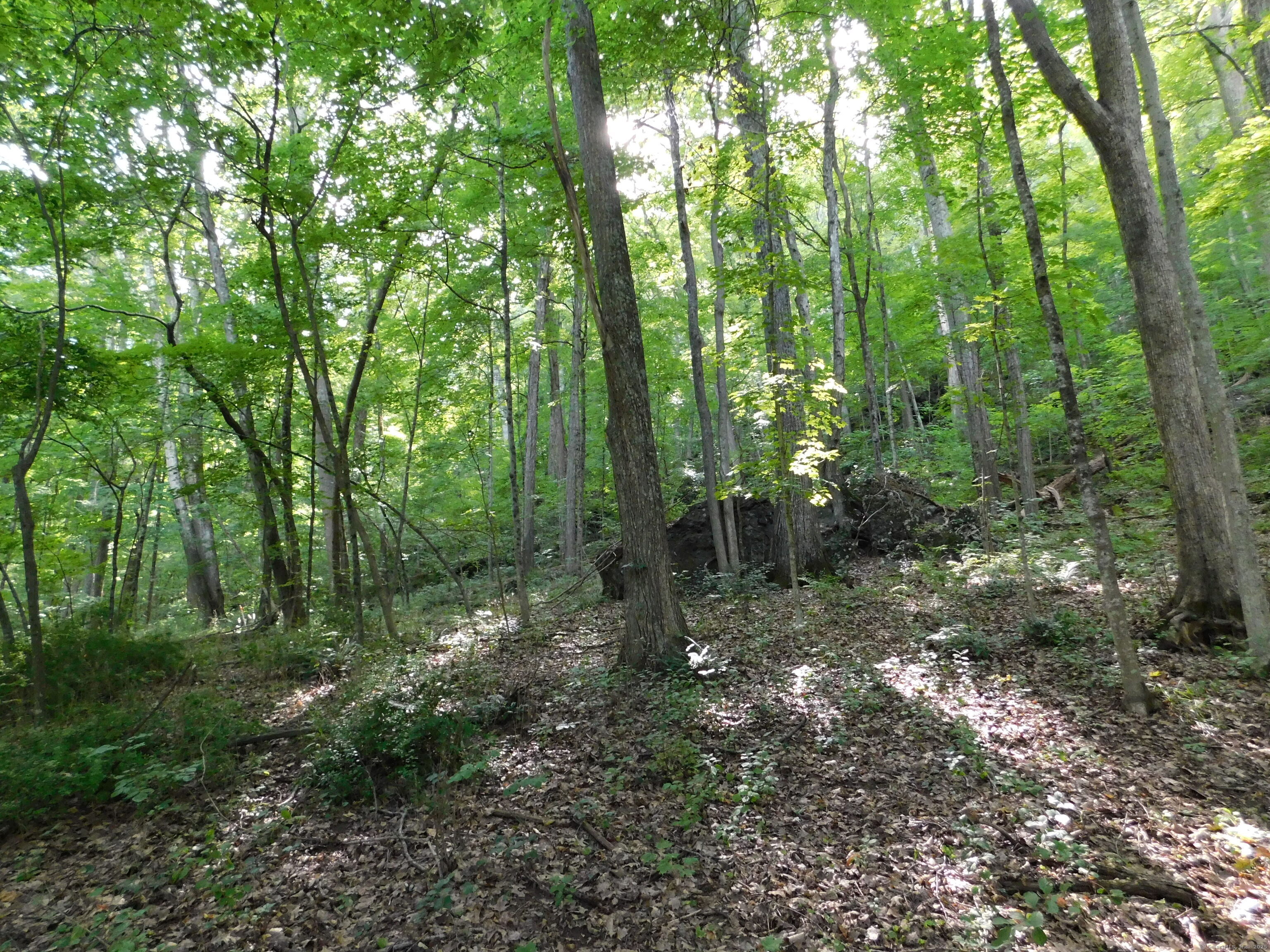 153 White Hollow Road Salisbury CT 06039