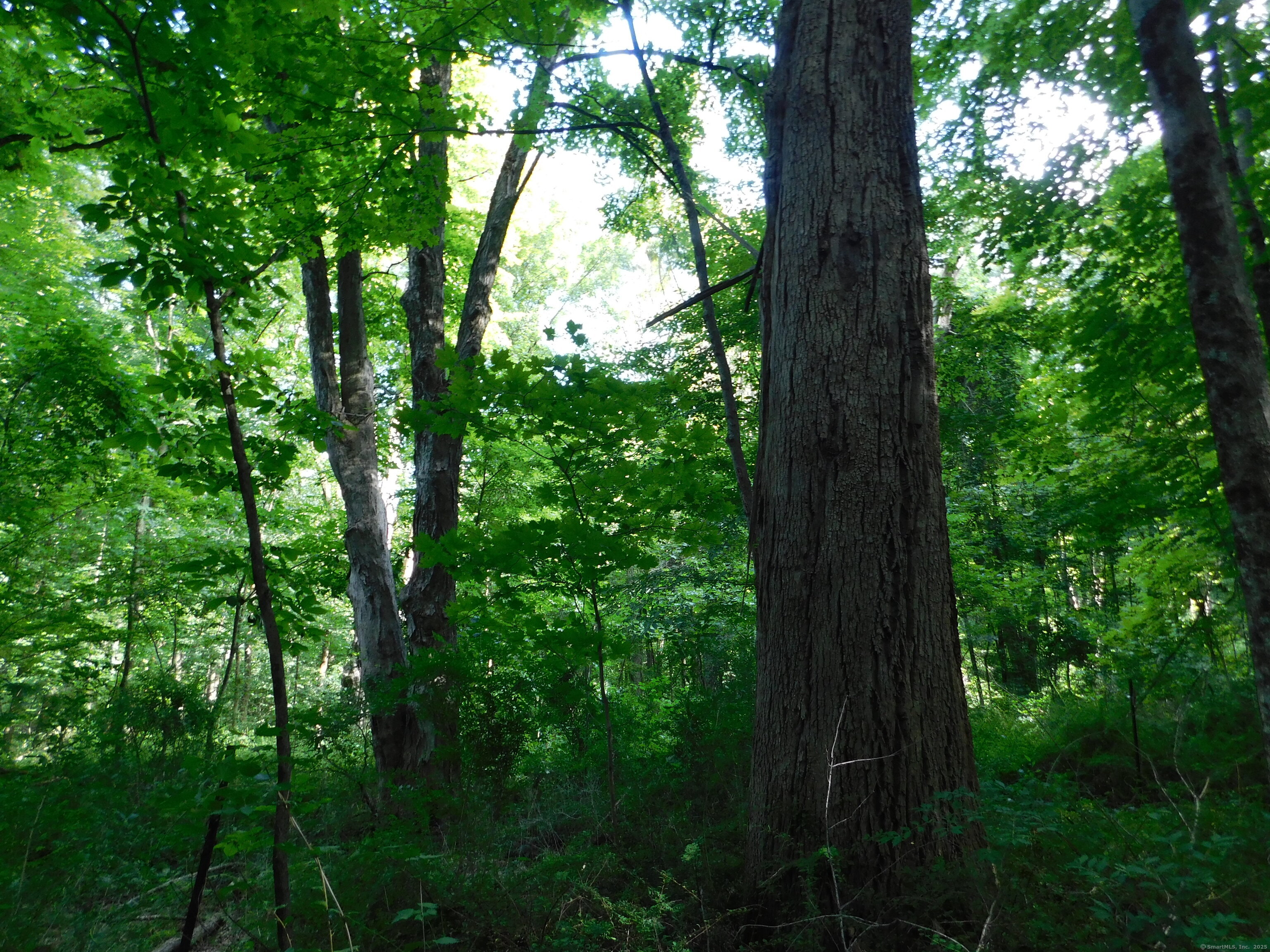 153 White Hollow Road Salisbury CT 06039