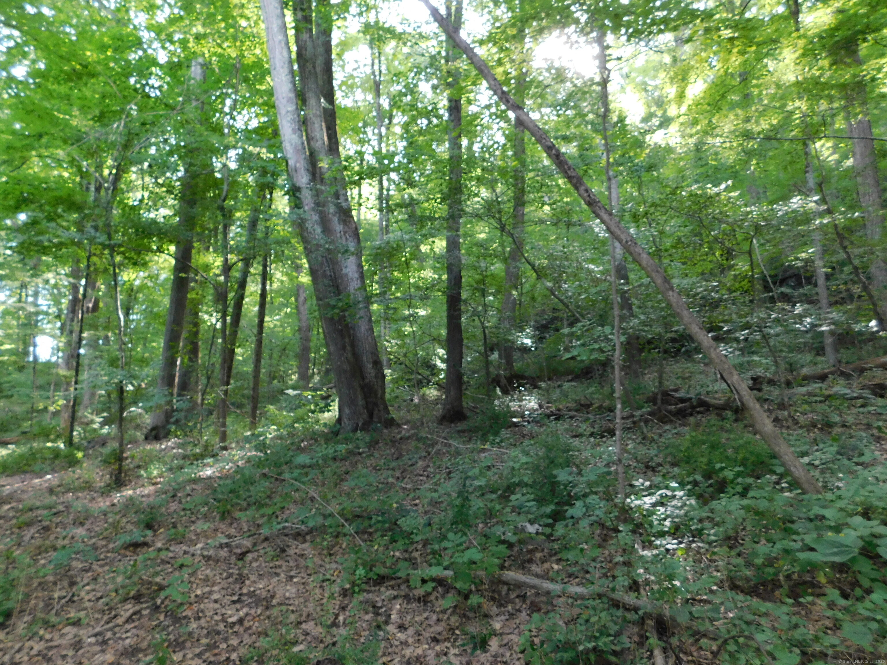 153 White Hollow Road Salisbury CT 06039