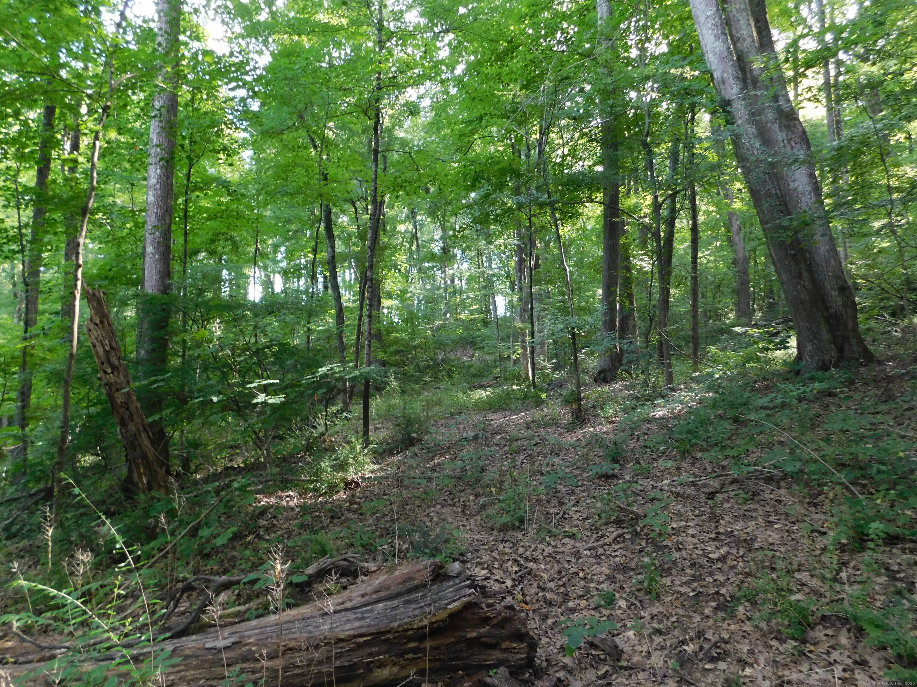 153 White Hollow Road Salisbury CT 06039