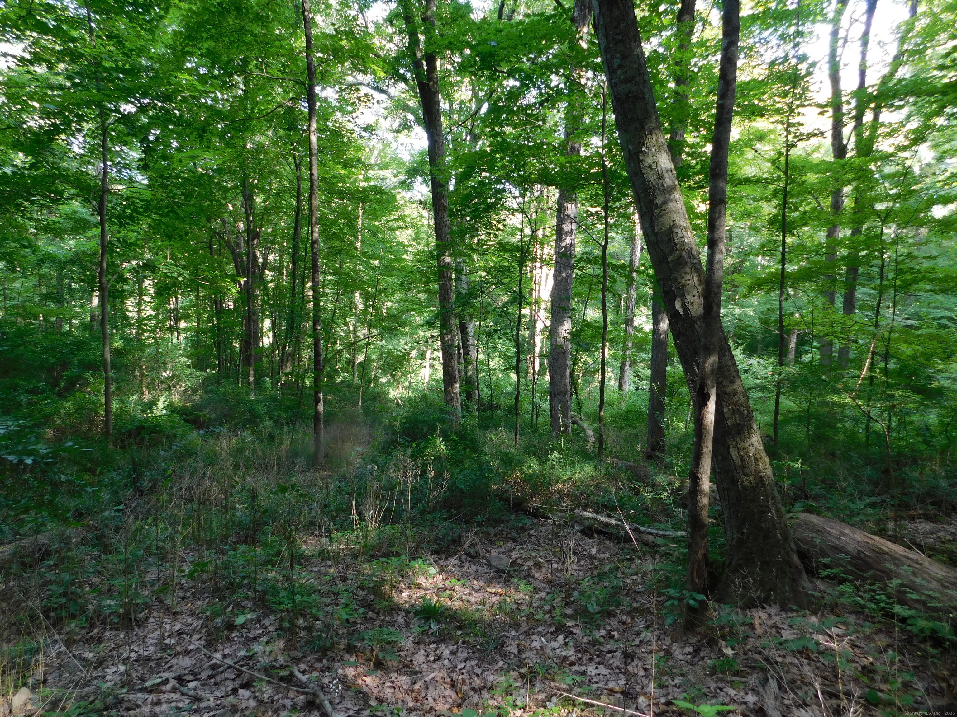 153 White Hollow Road Salisbury CT 06039
