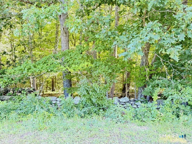 Beaver Dam Road Killingworth CT 06419
