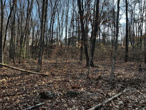 335 Pleasant Street Windham CT 06226