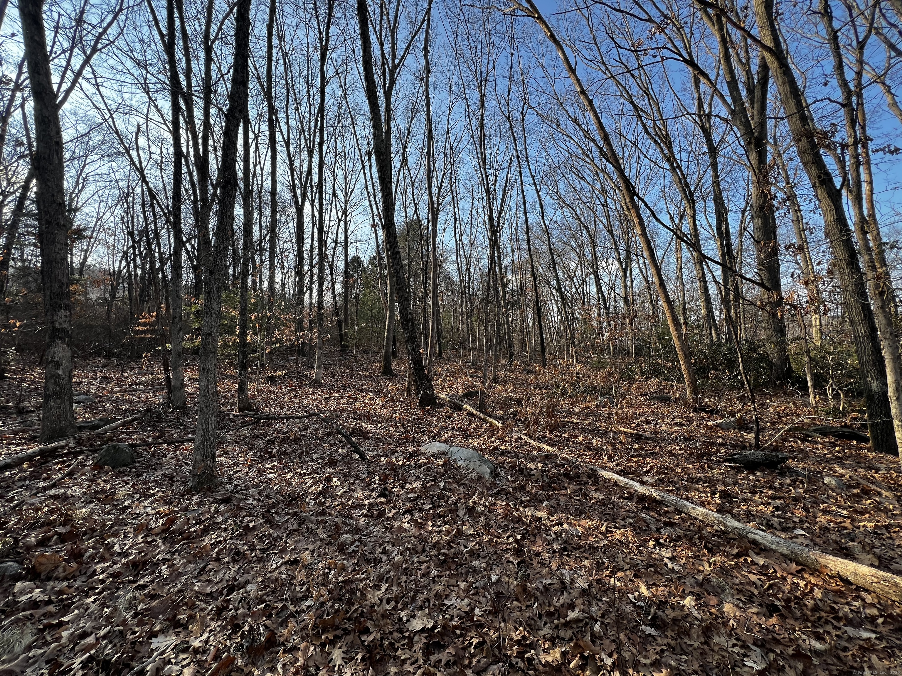 335 Pleasant Street Windham CT 06226