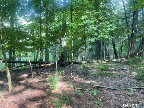 Railroad Street Cornwall CT 06753