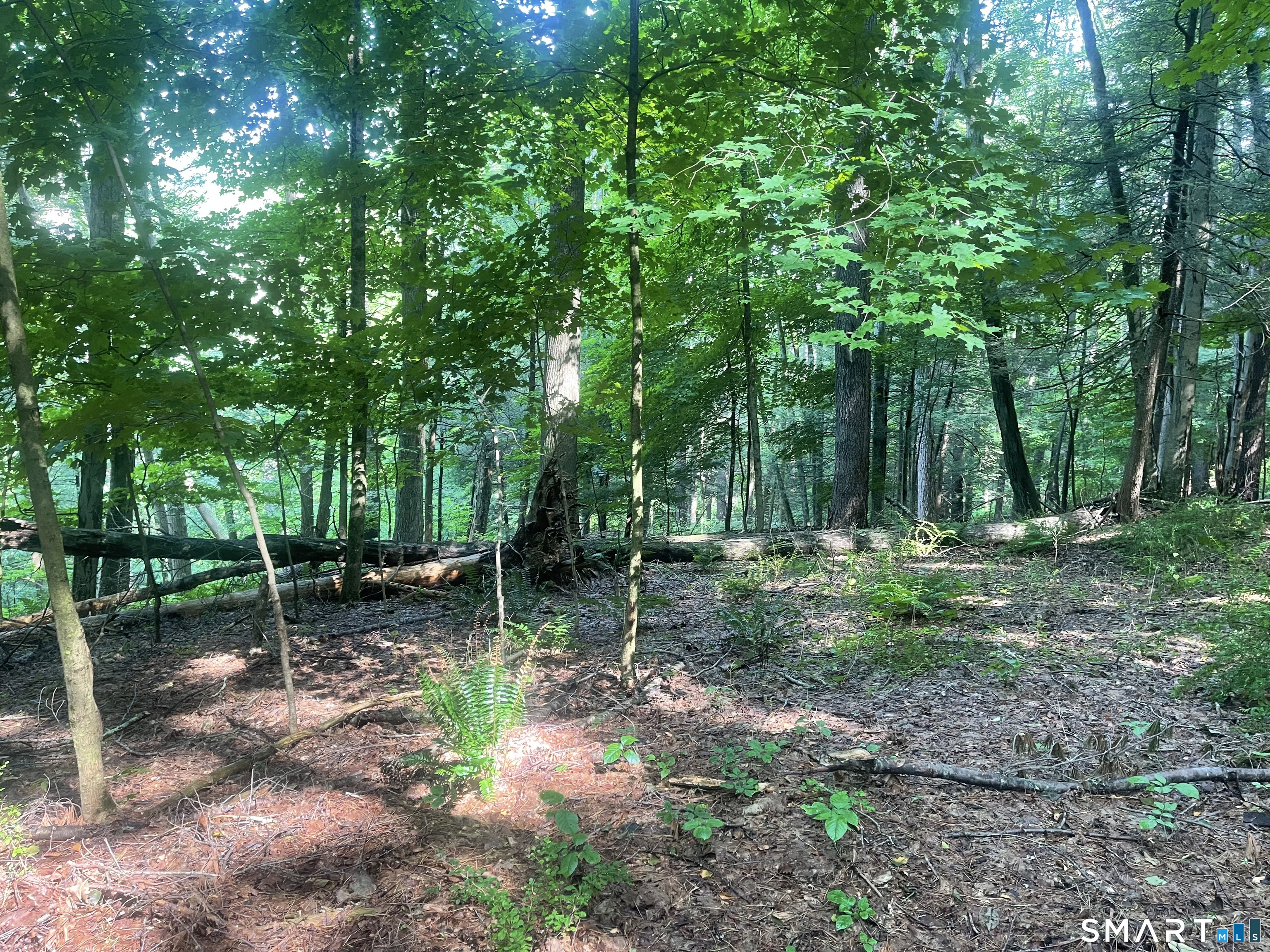 Railroad Street Cornwall CT 06753