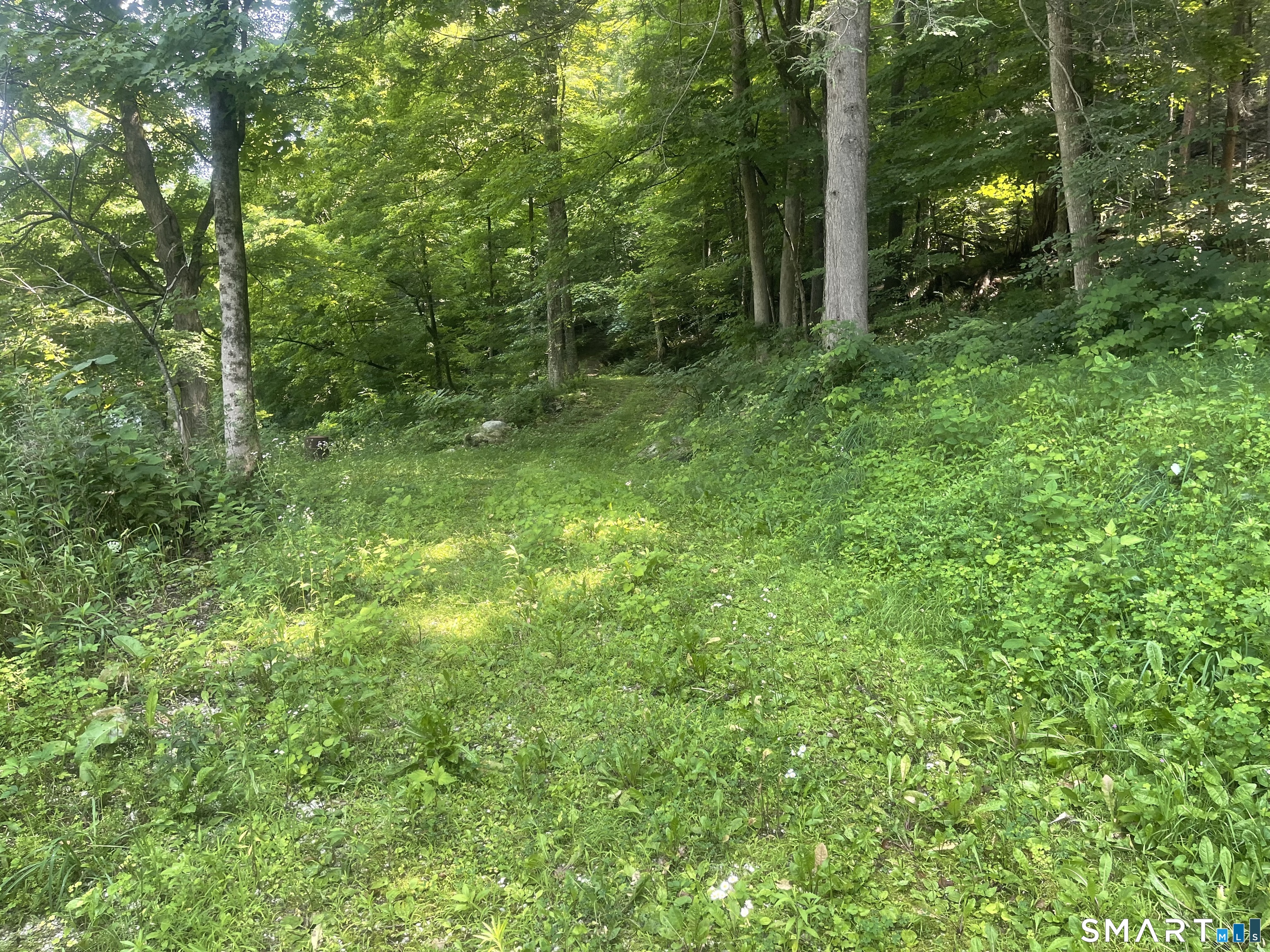 Railroad Street Cornwall CT 06753