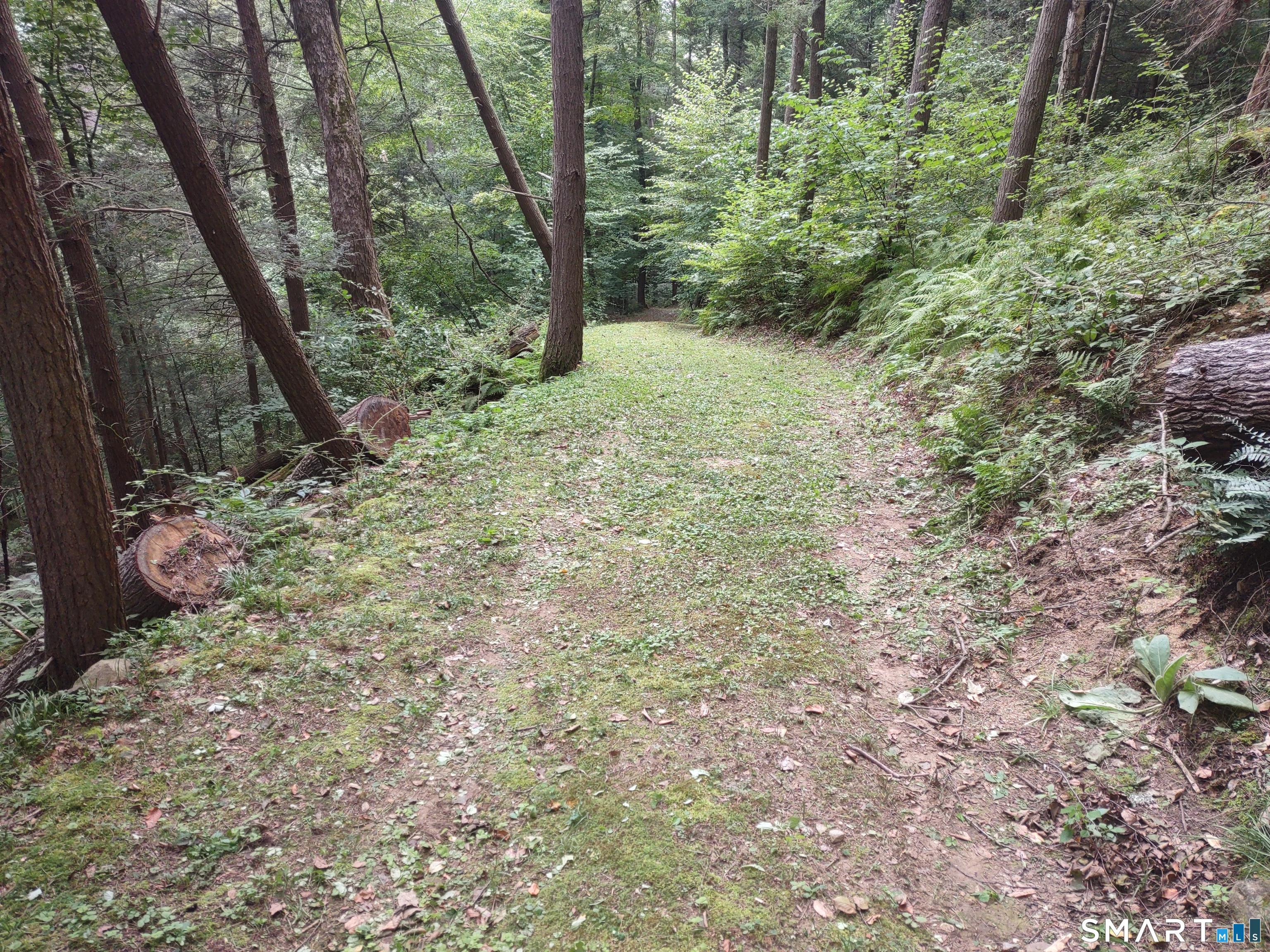 Railroad Street Cornwall CT 06753