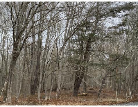 Lot 2,770 Pequot Trail Stonington CT 06379