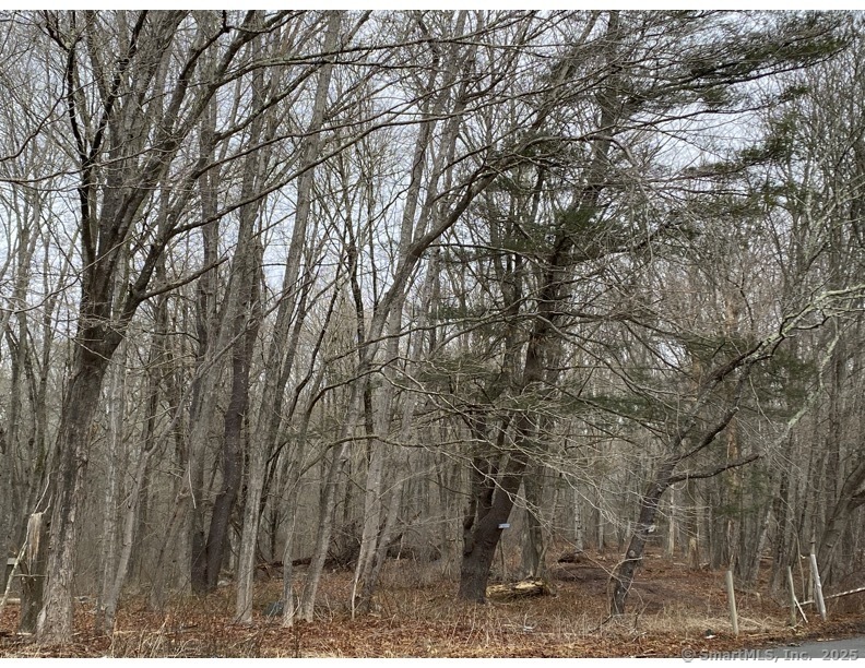 Lot 2,770 Pequot Trail Stonington CT 06379