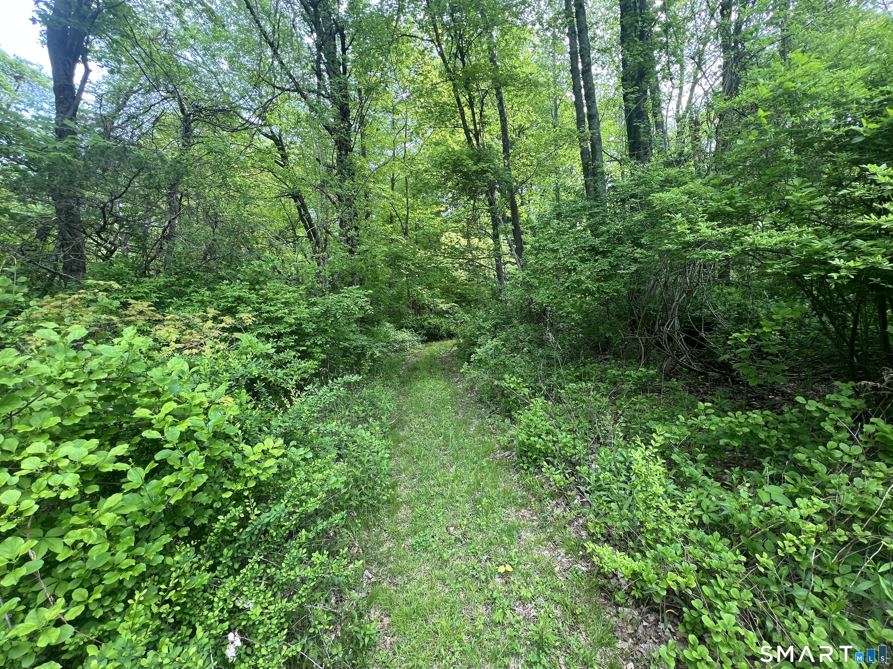Spooner Hill Road Kent CT 06757