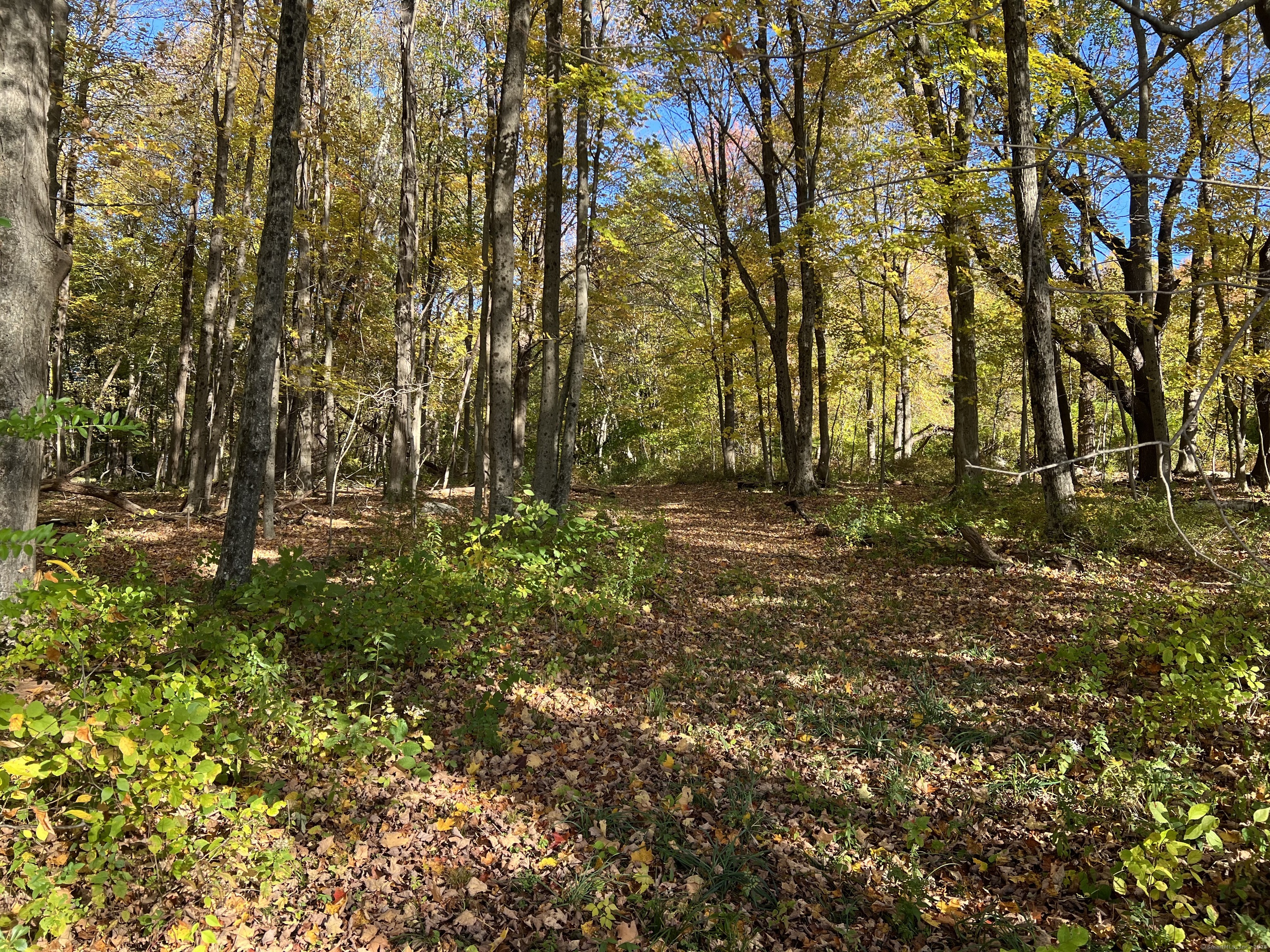 Spooner Hill Road Kent CT 06757