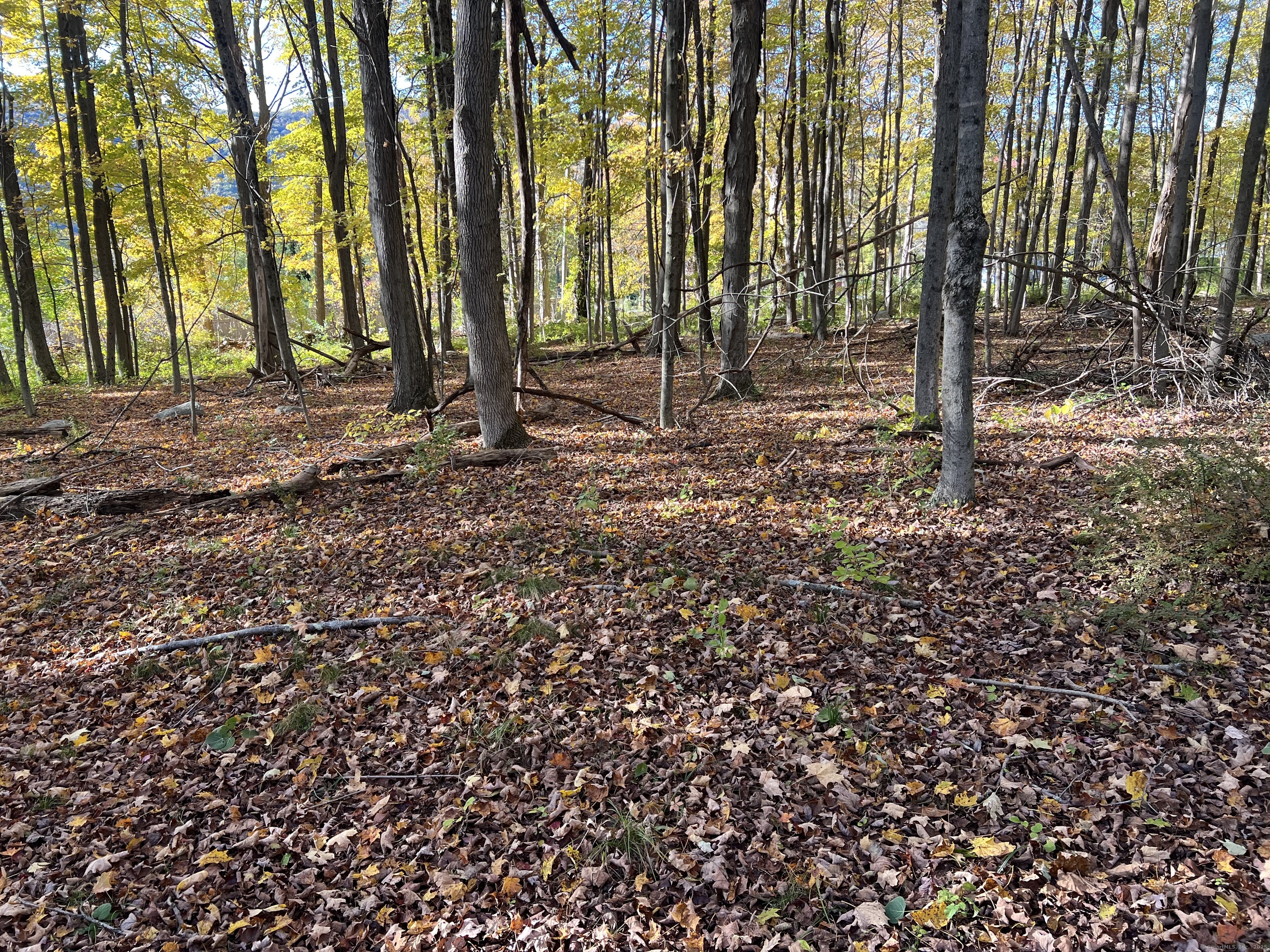 Spooner Hill Road Kent CT 06757