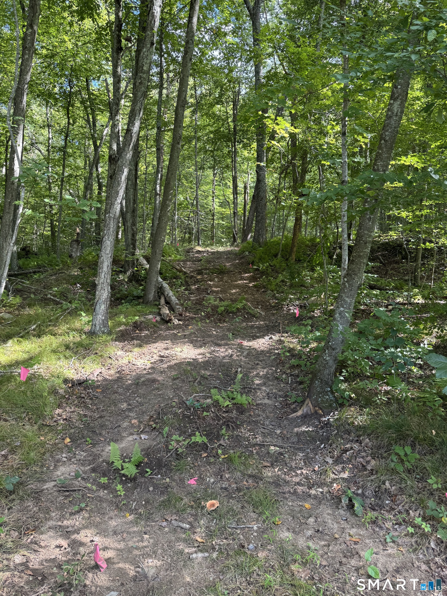 Tater Hill Road East Haddam CT 06423