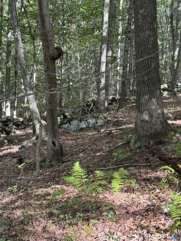 Tater Hill Road East Haddam CT 06423