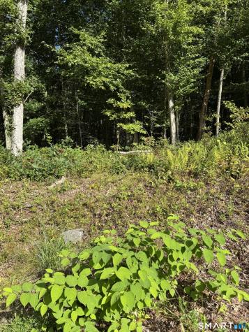 Tater Hill Road East Haddam CT 06423