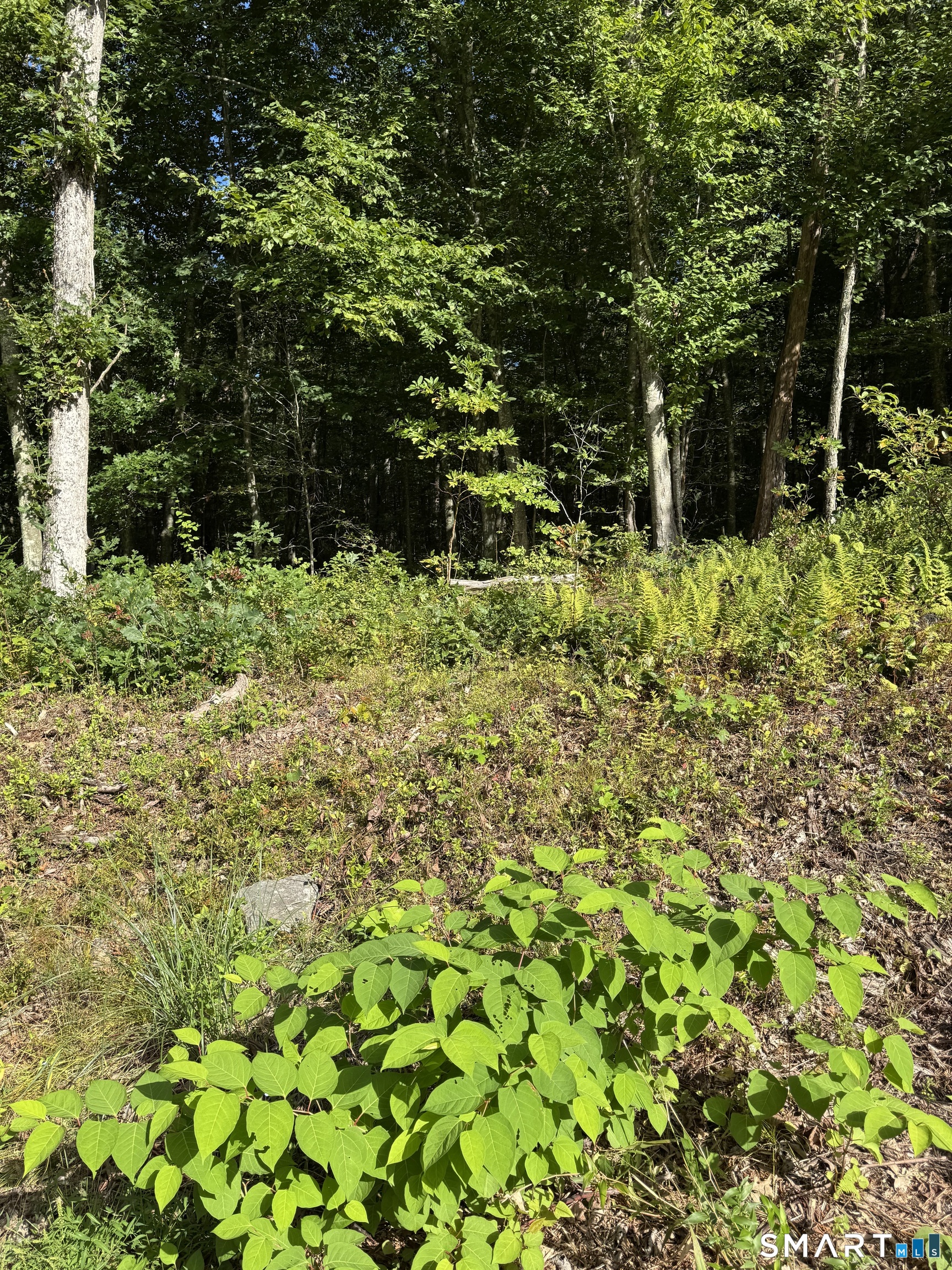 Tater Hill Road East Haddam CT 06423