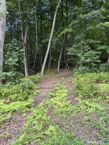 Tater Hill Road East Haddam CT 06423