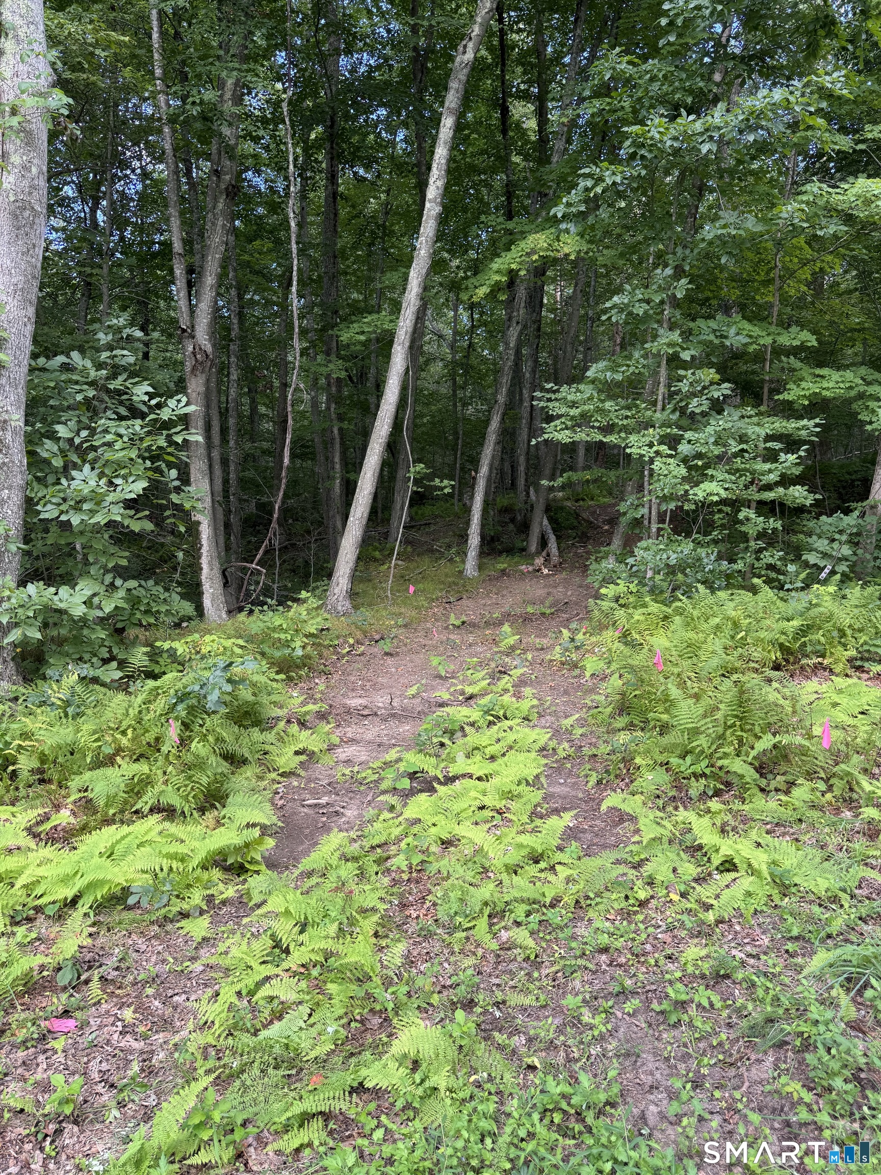 Tater Hill Road East Haddam CT 06423