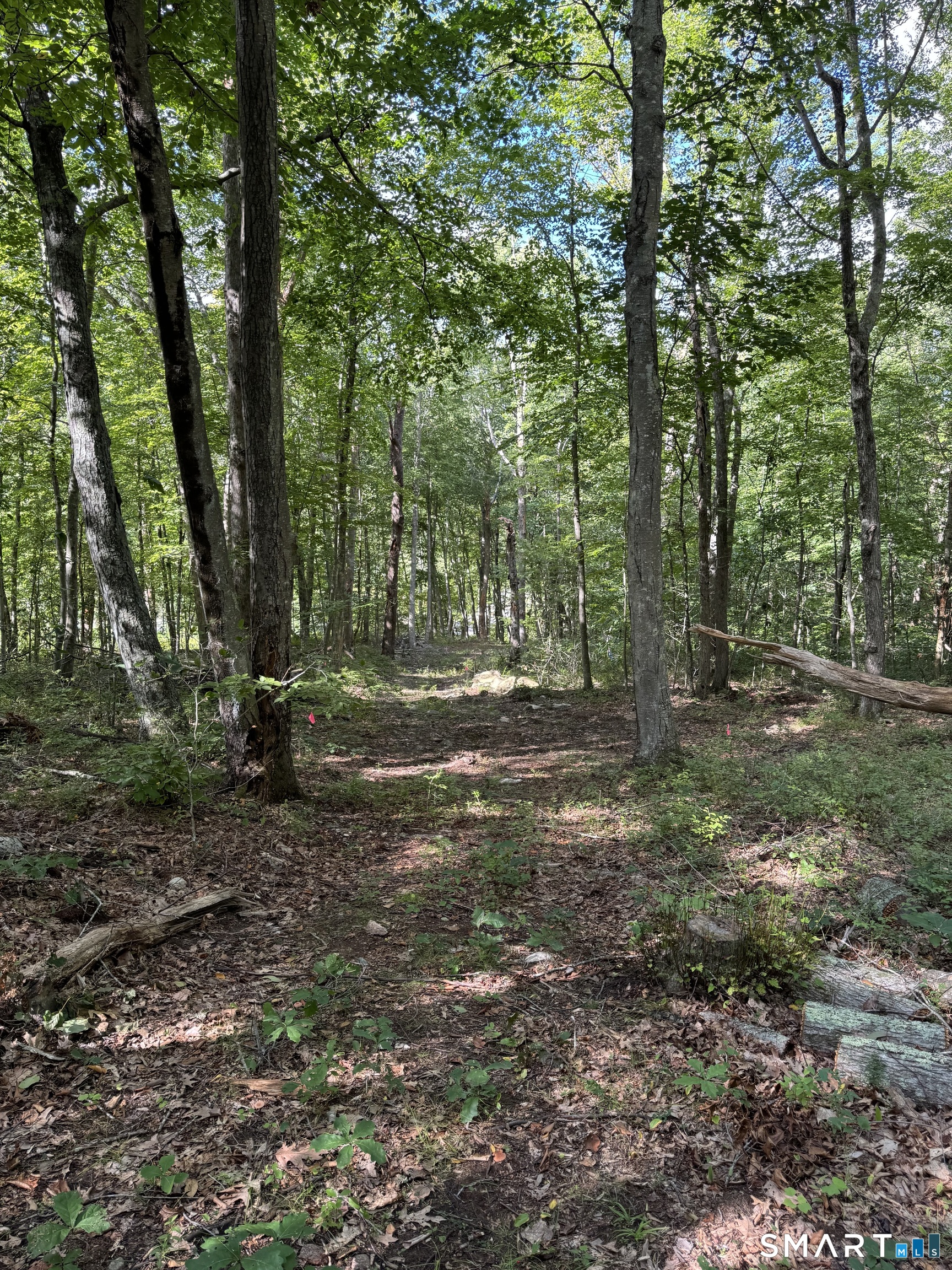 Tater Hill Road East Haddam CT 06423