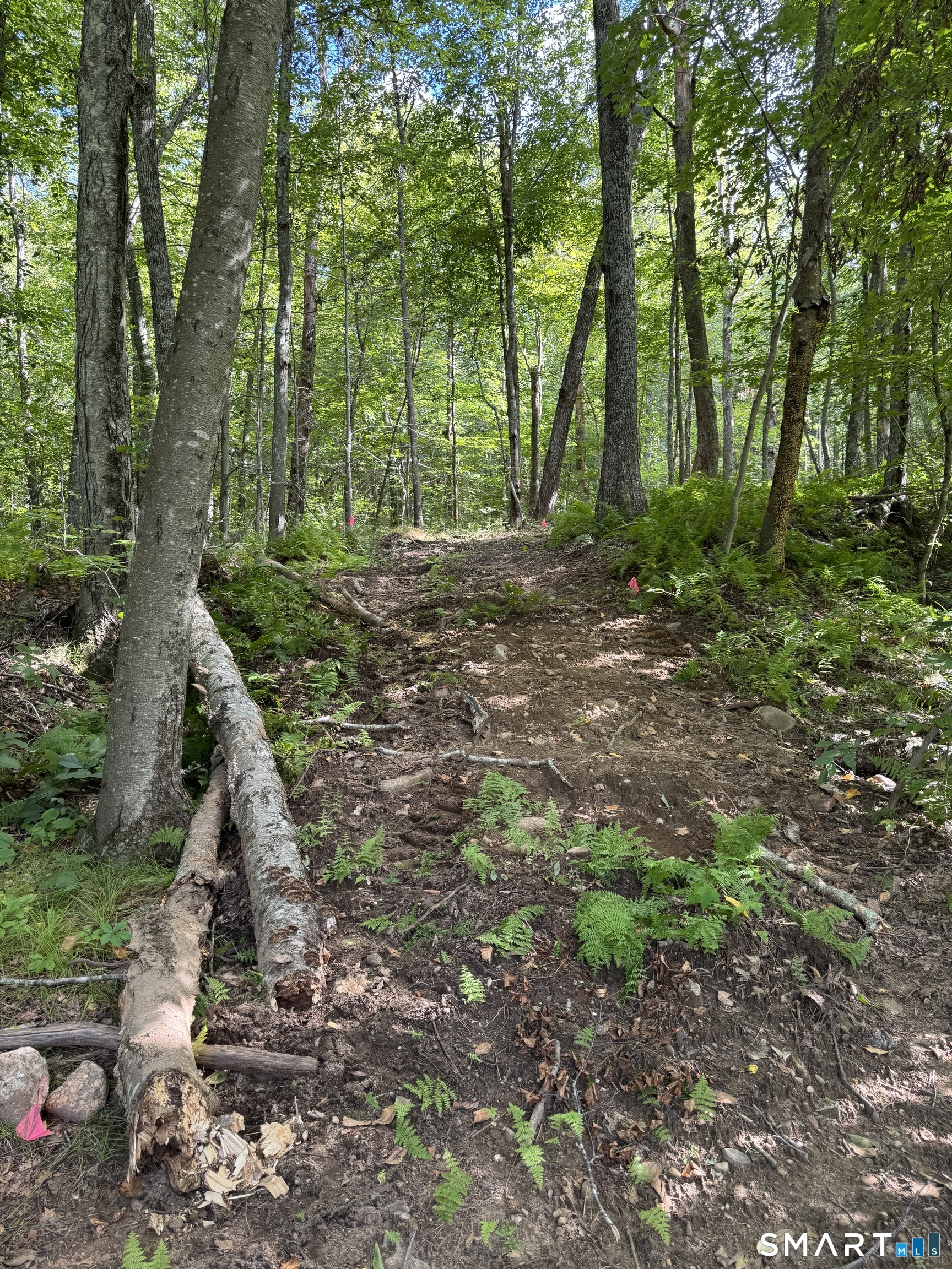 Tater Hill Road East Haddam CT 06423