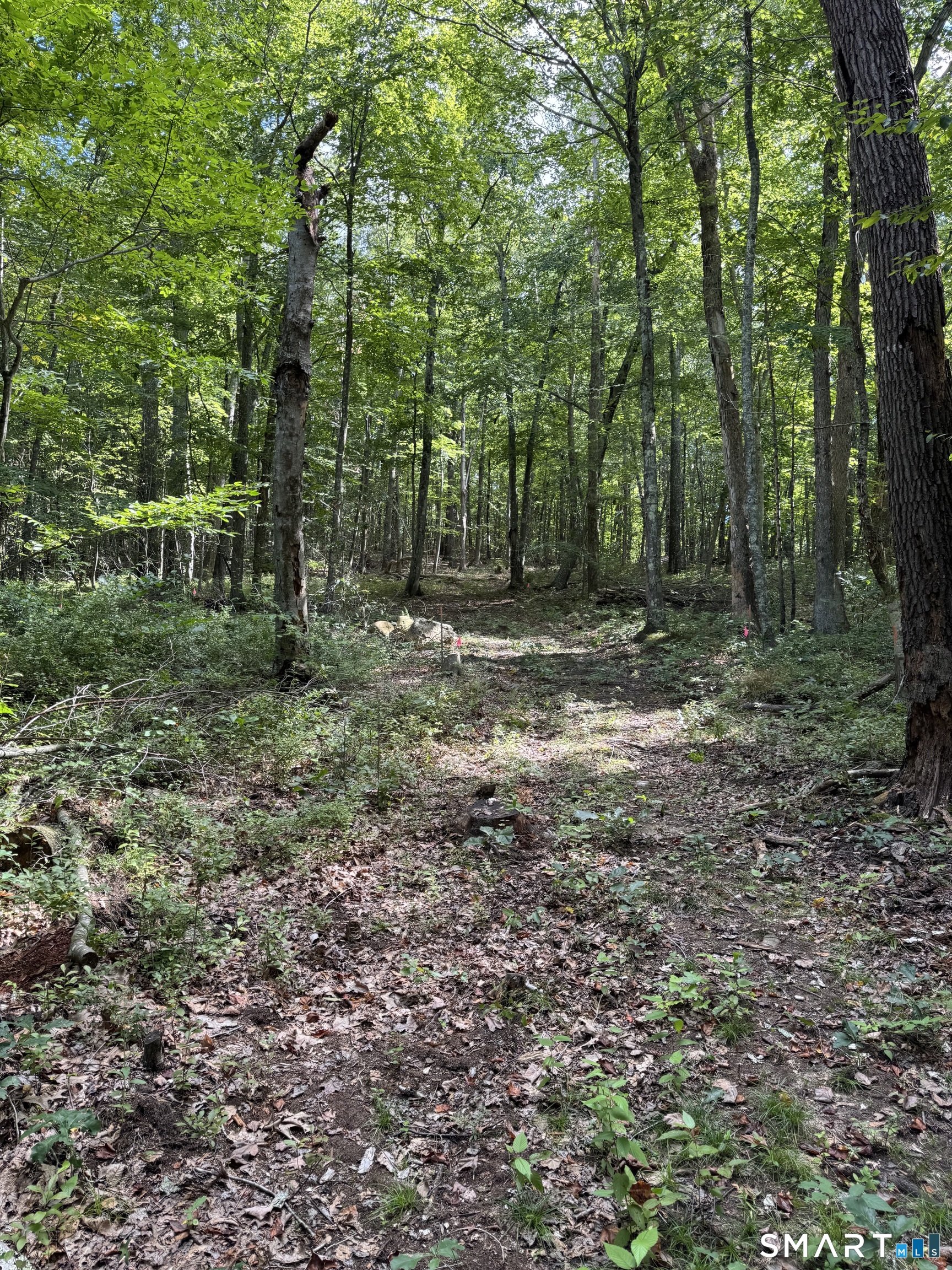 Tater Hill Road East Haddam CT 06423