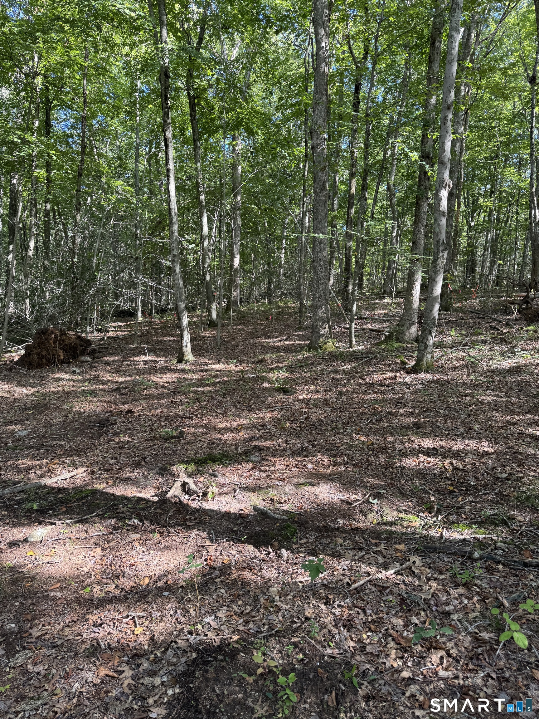 Tater Hill Road East Haddam CT 06423
