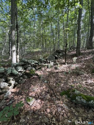 Tater Hill Road East Haddam CT 06423