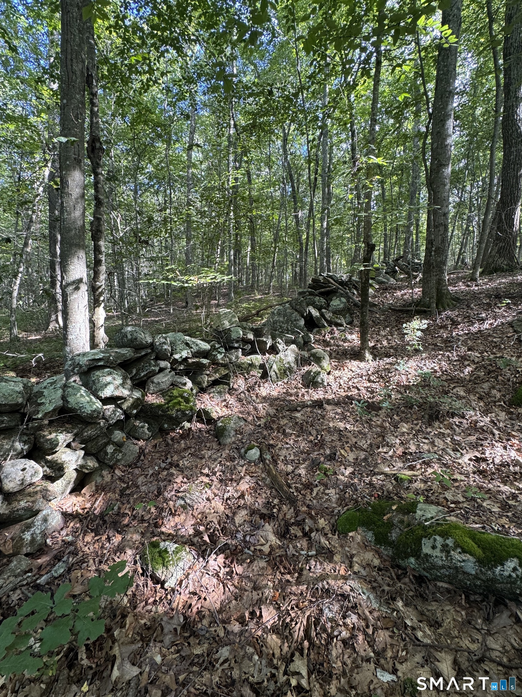 Tater Hill Road East Haddam CT 06423