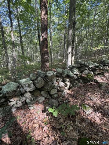 Tater Hill Road East Haddam CT 06423