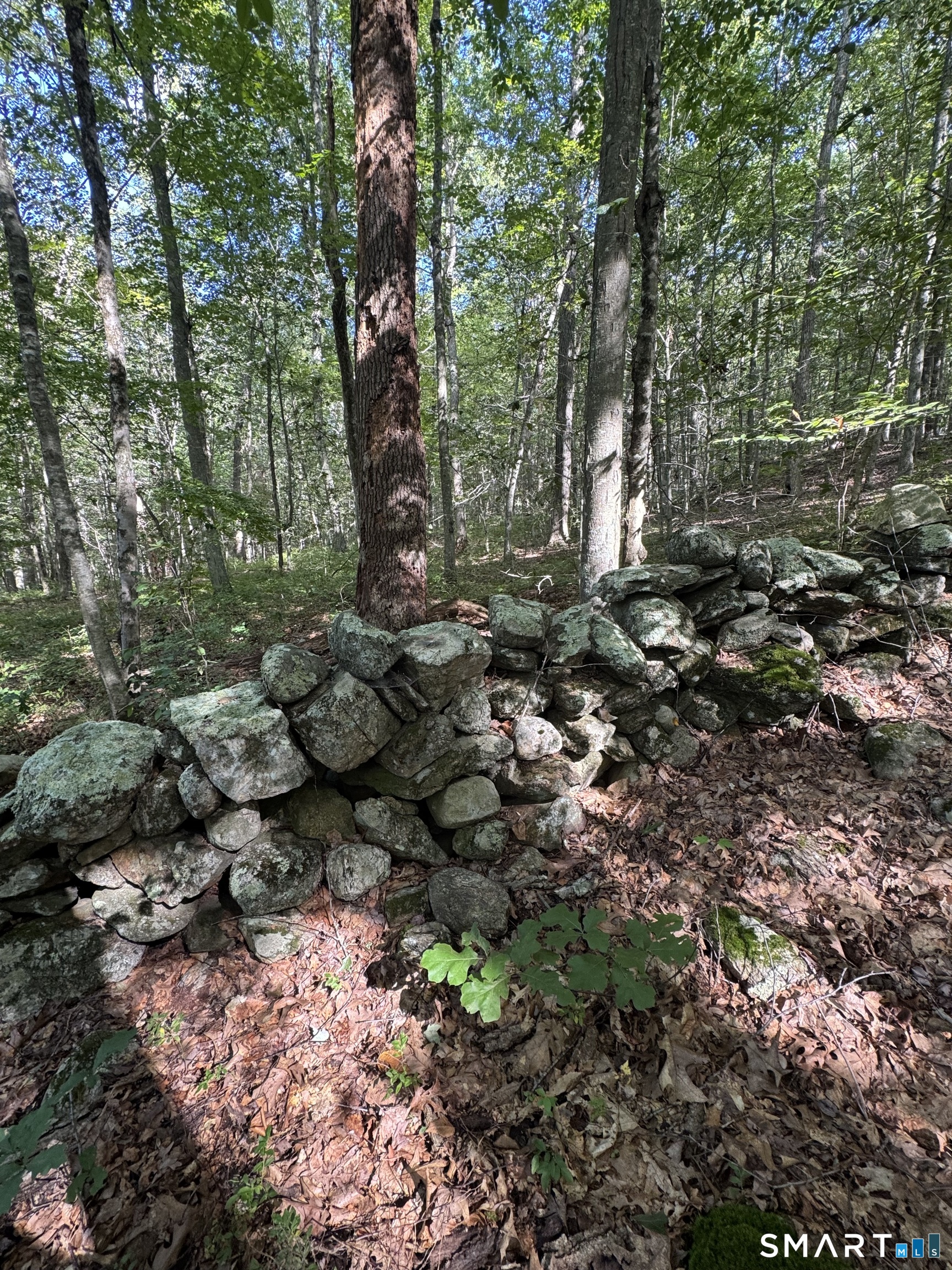 Tater Hill Road East Haddam CT 06423