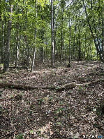 Tater Hill Road East Haddam CT 06423