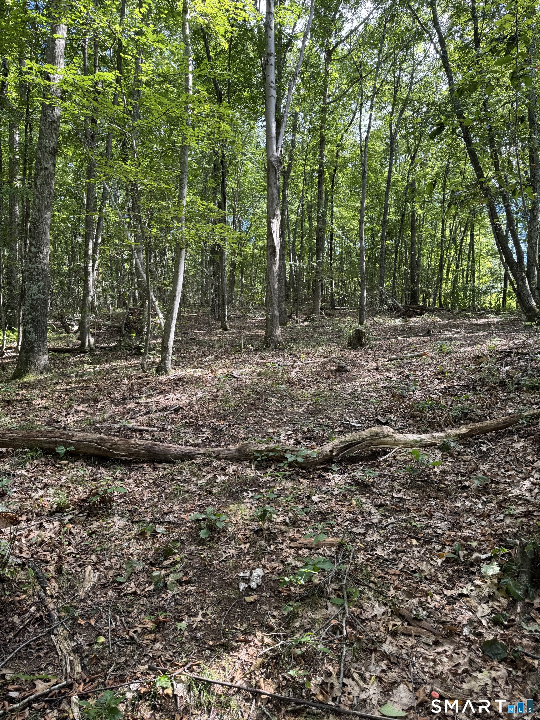 Tater Hill Road East Haddam CT 06423