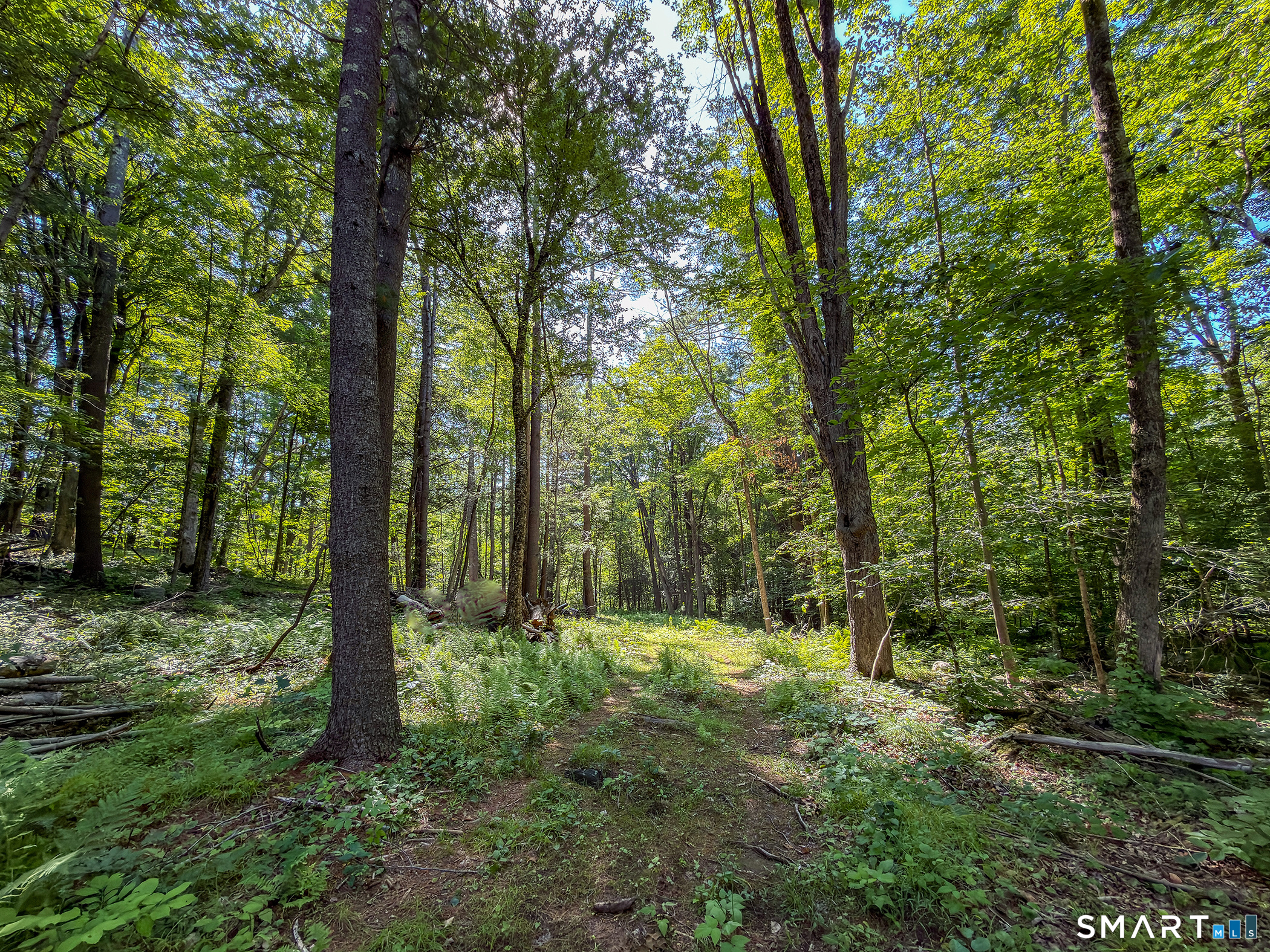 00 Great Hollow Road Cornwall CT 06753