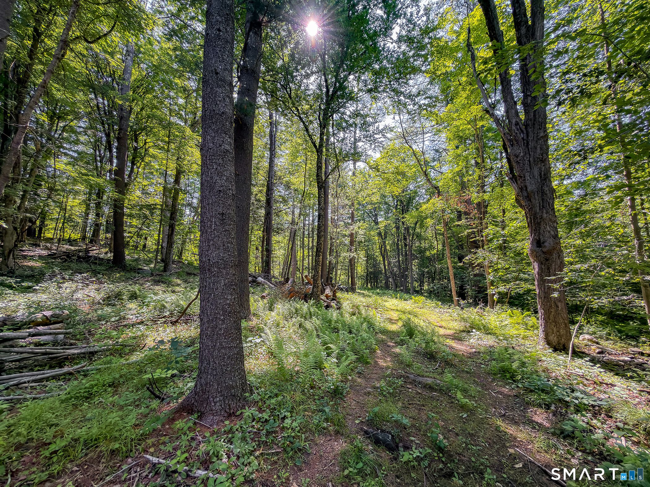 00 Great Hollow Road Cornwall CT 06753
