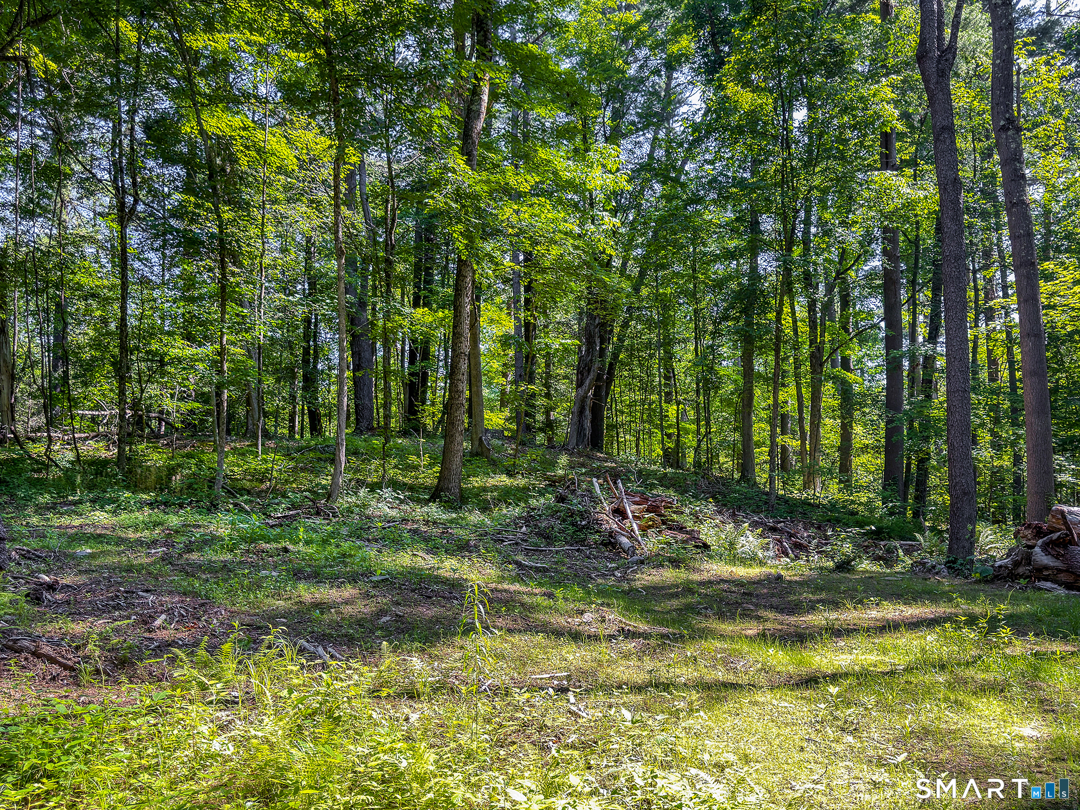 00 Great Hollow Road Cornwall CT 06753