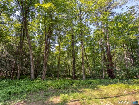 00 Great Hollow Road Cornwall CT 06753