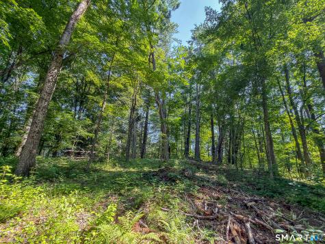 00 Great Hollow Road Cornwall CT 06753