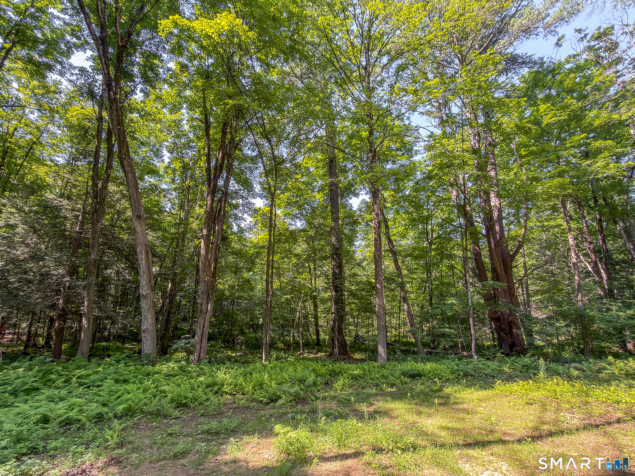 00 Great Hollow Road Cornwall CT 06753