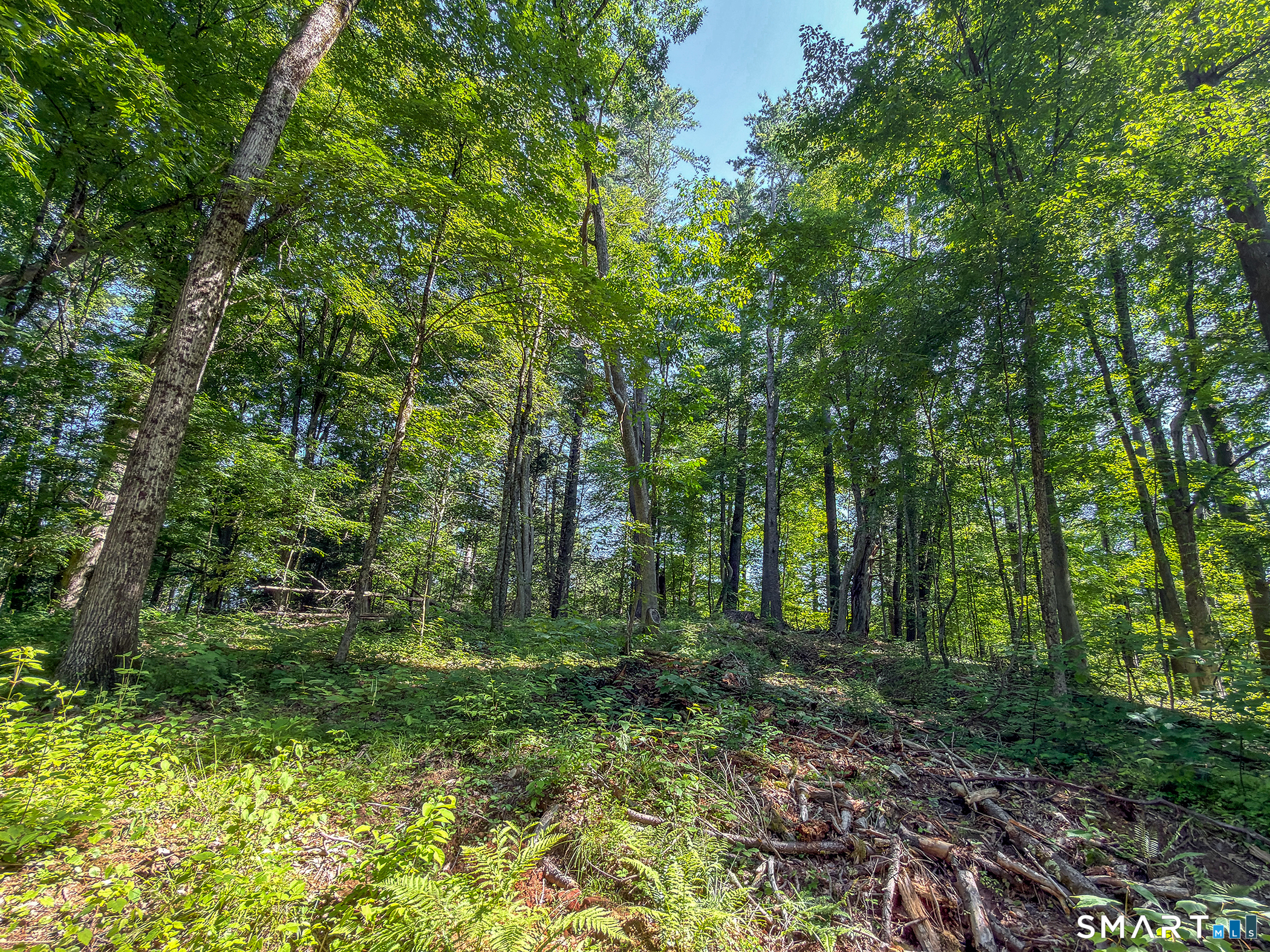 00 Great Hollow Road Cornwall CT 06753