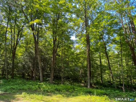 00 Great Hollow Road Cornwall CT 06753