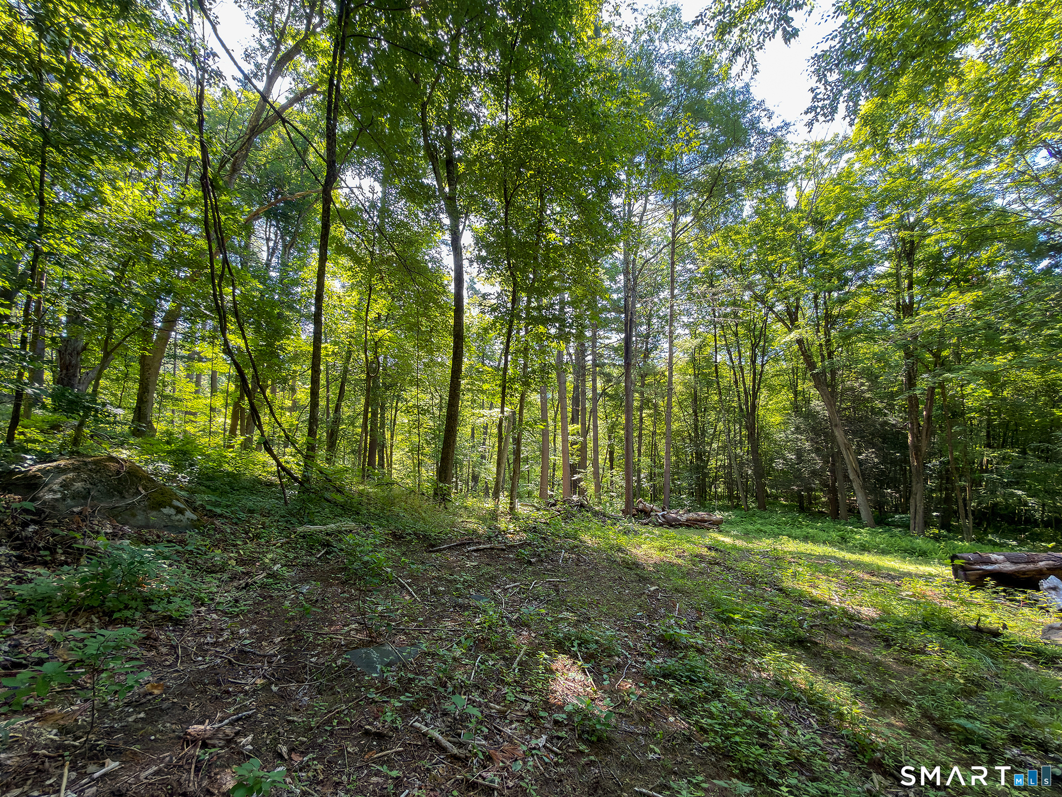 00 Great Hollow Road Cornwall CT 06753