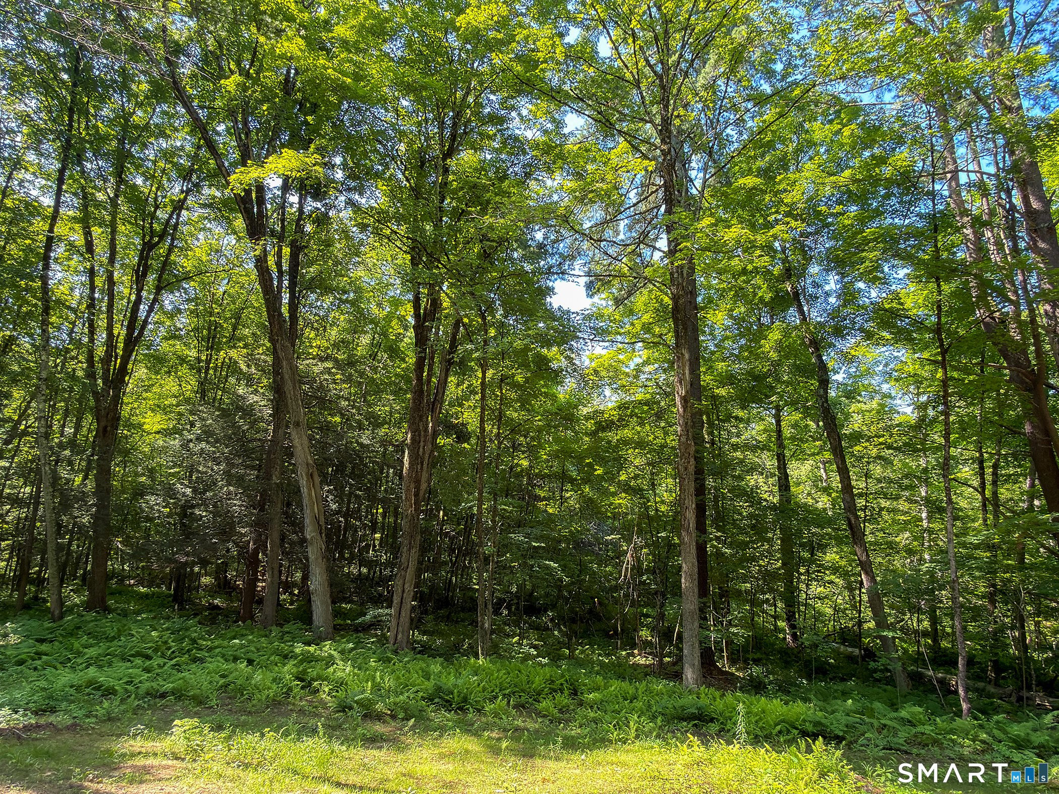 00 Great Hollow Road Cornwall CT 06753