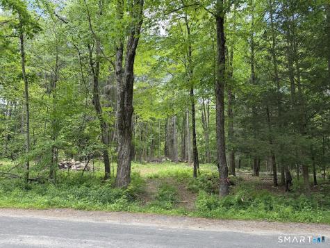 00 Great Hollow Road Cornwall CT 06753