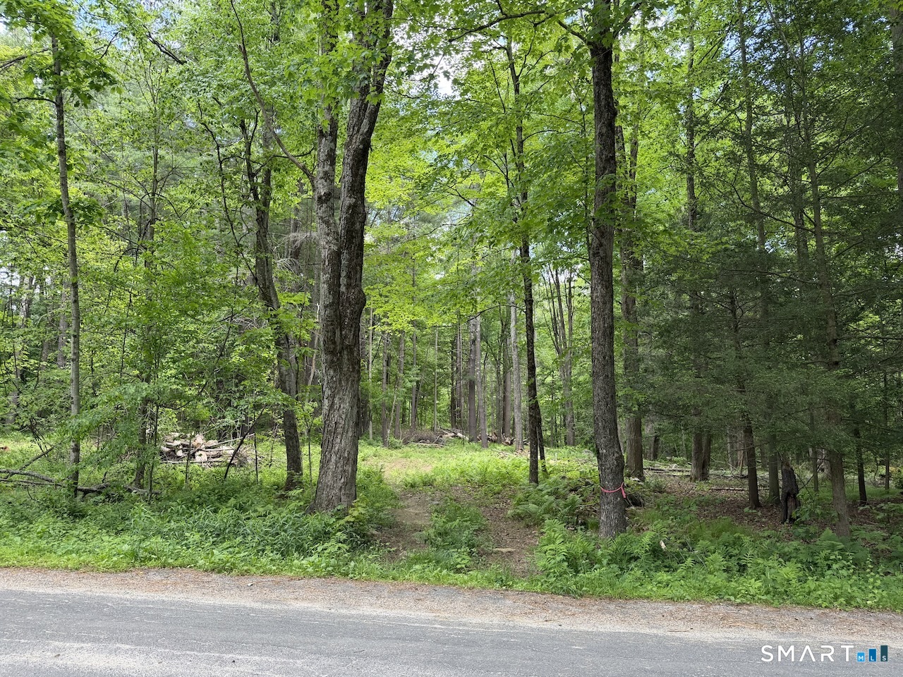 00 Great Hollow Road Cornwall CT 06753