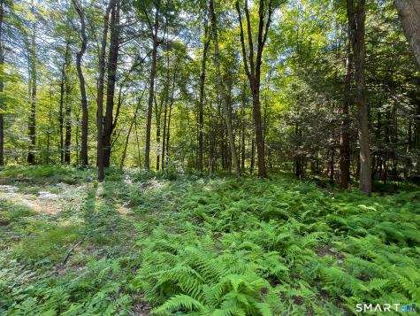 00 Great Hollow Road Cornwall CT 06753
