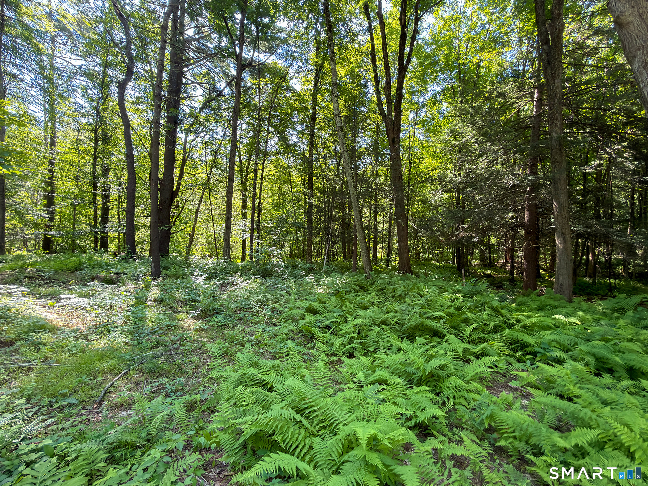 00 Great Hollow Road Cornwall CT 06753