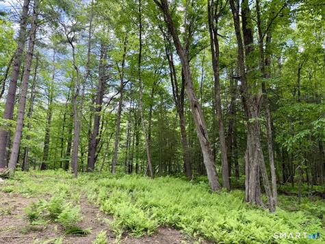 00 Great Hollow Road Cornwall CT 06753