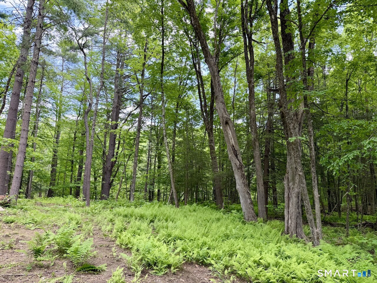 00 Great Hollow Road Cornwall CT 06753