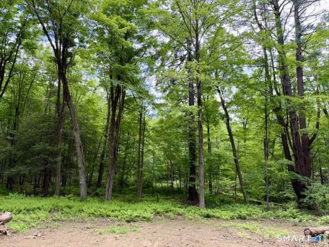 00 Great Hollow Road Cornwall CT 06753